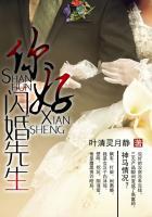 闪婚最后结局