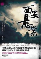 陕西西安大案要案侦破纪实
