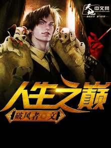 人生之巅比喻什么人