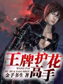 王牌护花高手全文刘明
