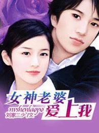女神老婆爱上我全集