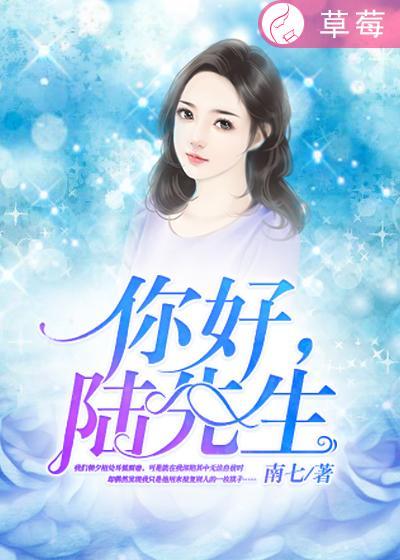 你好陆先生南七