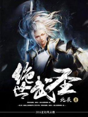 绝世武圣女主角几个