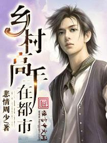超级高手在乡村林宇