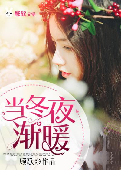 当冬夜渐暖讲的啥