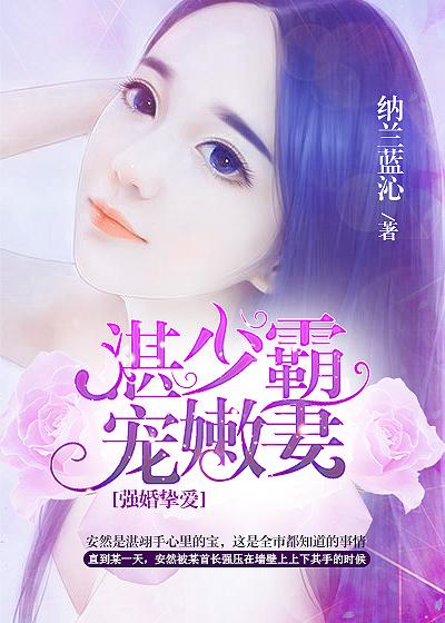 女主叫湛少的是什么
