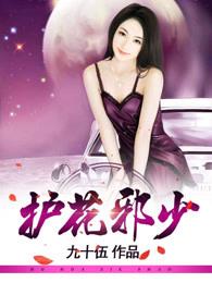 护花邪少完整版
