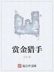 赏金猎手澜值得买吗