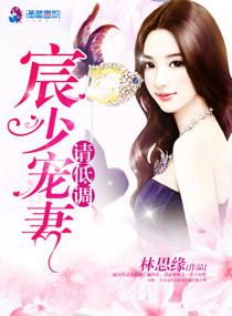 宸少宠妻请低调短剧