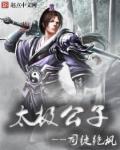 打太极公子视频