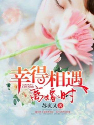 幸得相遇离婚时在线阅读