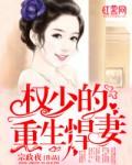 重生权少宠妻太凶猛免费阅读