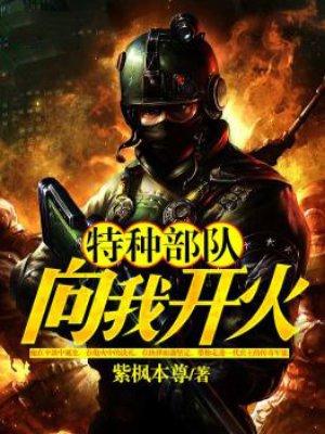 特种部队向我开火免费
