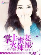 傲娇总裁小娇妻