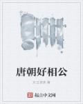 唐朝好相公锦衣夜行著