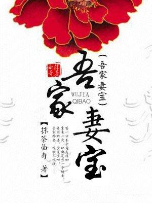 吾家妻宝免费阅读全文