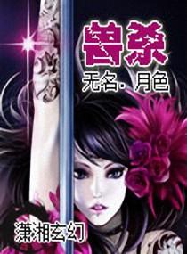 神杀武士刀