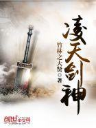 凌天剑神 太虚剑意