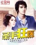 圣手狂医西瓜败火txt精校版