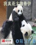 大德鲁伊在线种田txt
