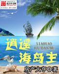逍遥海岛主张明