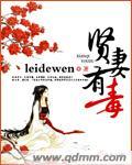 贤妻女主