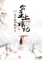 太子妃升职记芃芃