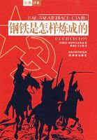 钢铁是怎样炼成的读后感悟