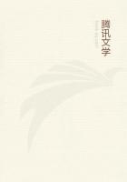 梅花拳视频