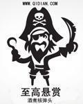 至高悬赏TXT在线