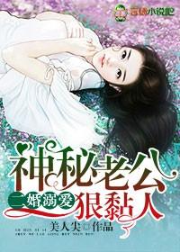 二婚老公实力宠