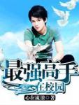 最强高手在校园txt无删减