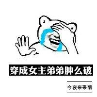 穿成女主的弟弟肿么破完本