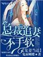 宠妻总裁的