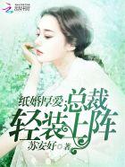 纸婚厚爱总裁轻装上阵全文免费阅读