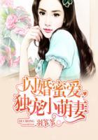 闪婚蜜爱总裁独宠小娇妻心语百度阅读