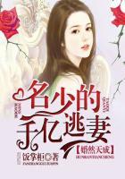 婚然天成之天价妻约