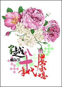 穿越八十年代农家媳免费阅读
