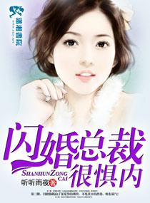 闪婚总裁契约妻全集