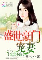 念念不忘阅读