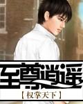 至尊逍遥简介