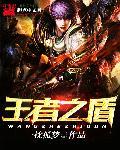 王者里盾是什么装备