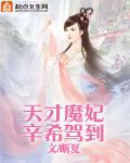 天才魔妃我要了内容简介