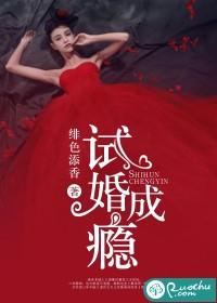 试婚成瘾短剧免费观看电视剧