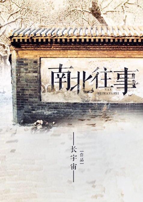 南北往事武陶记