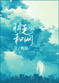 羽与羽毛的区别