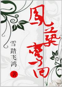 凤翥鸾回