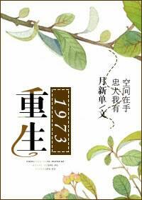 重生1973宋芸大结局