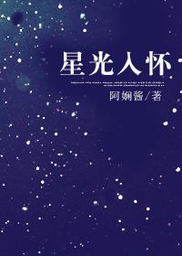 星光入怀完整版txt