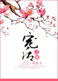 宠后之路笑佳人讲了什么